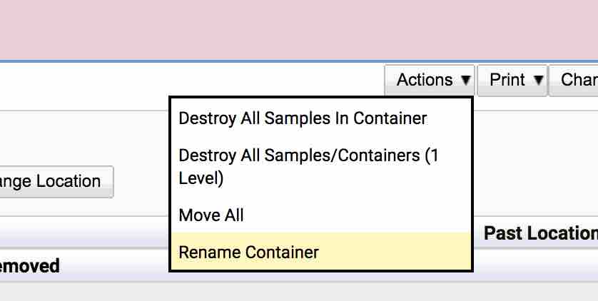Rename Container